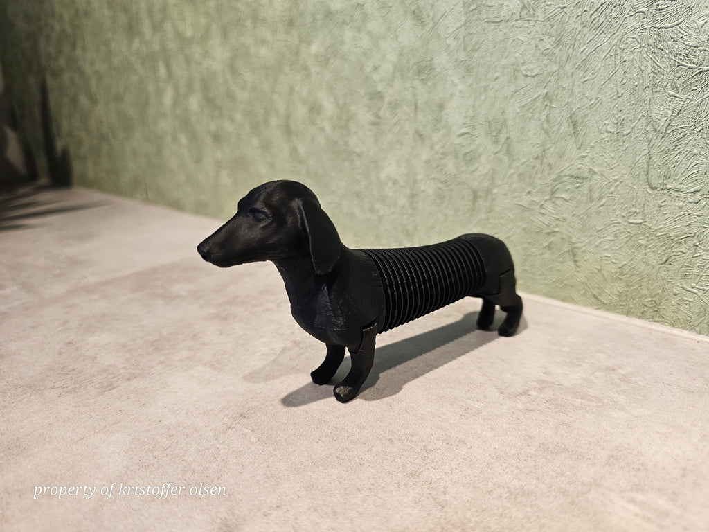 Flexible dachshund