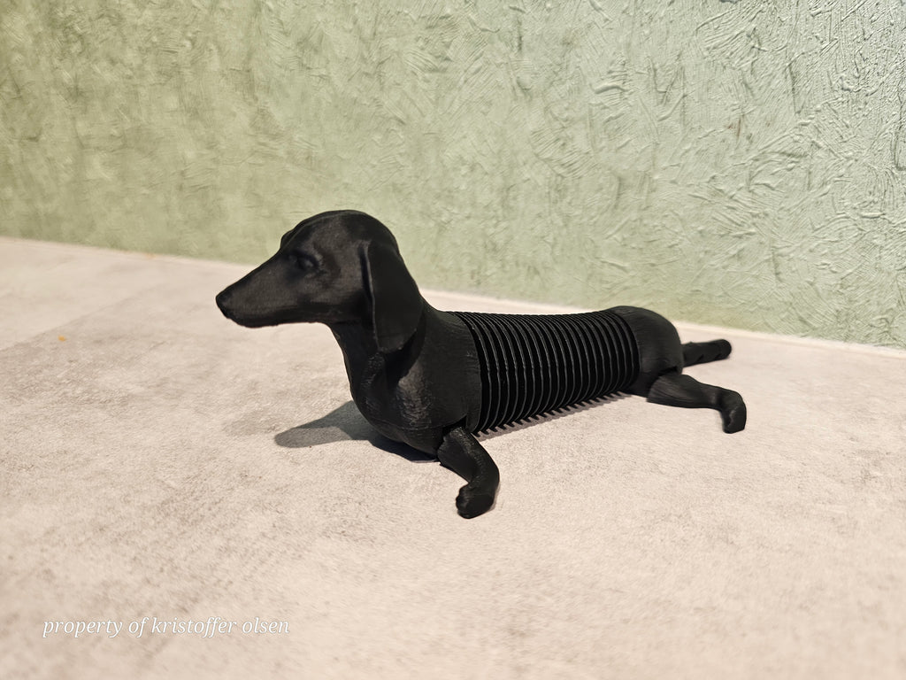 Flexible dachshund