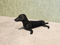 Flexible dachshund